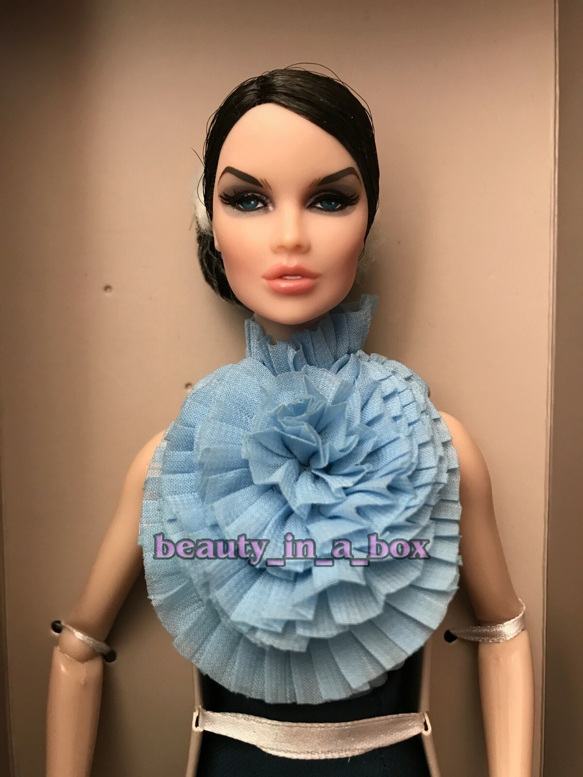 Take Me On Vanessa Perrin Doll Fashion Royalty Integrity W Club FR Rare B