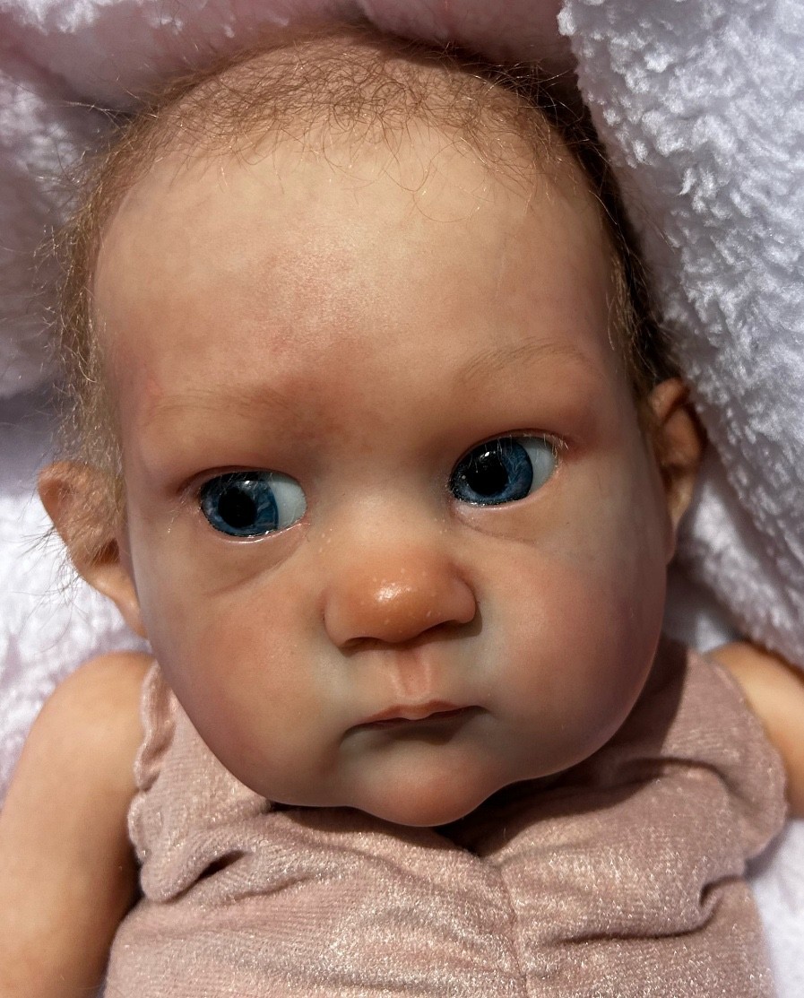 Rare Sold out Pixie Reborn baby doll Preemie Girl Bonnie Brown w/ bed and belly