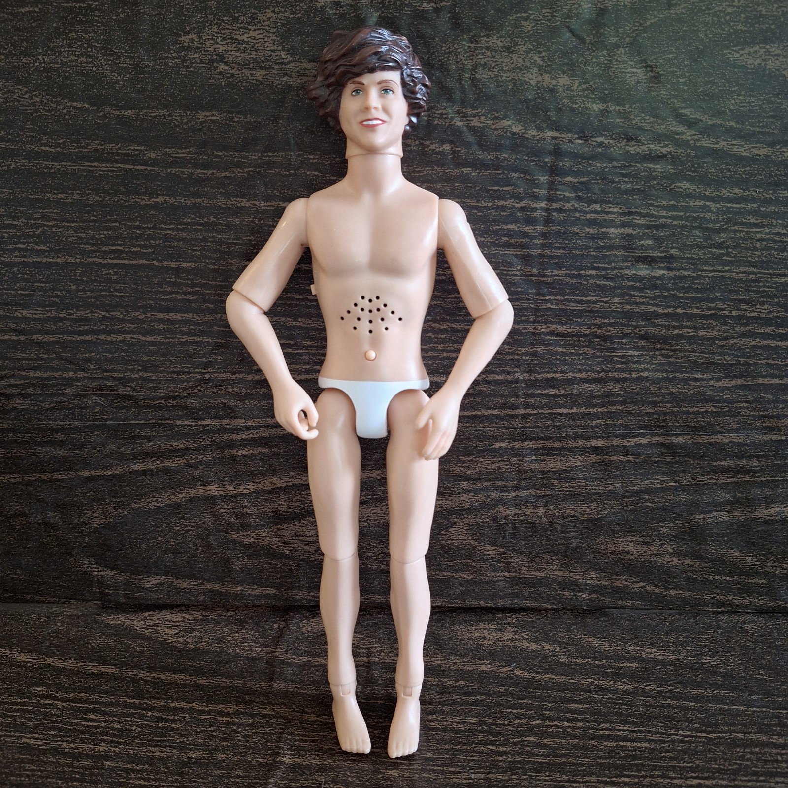 Harry Styles Singing Doll One Direction 1D Action Figure 12” WORKS Hasbro 2012