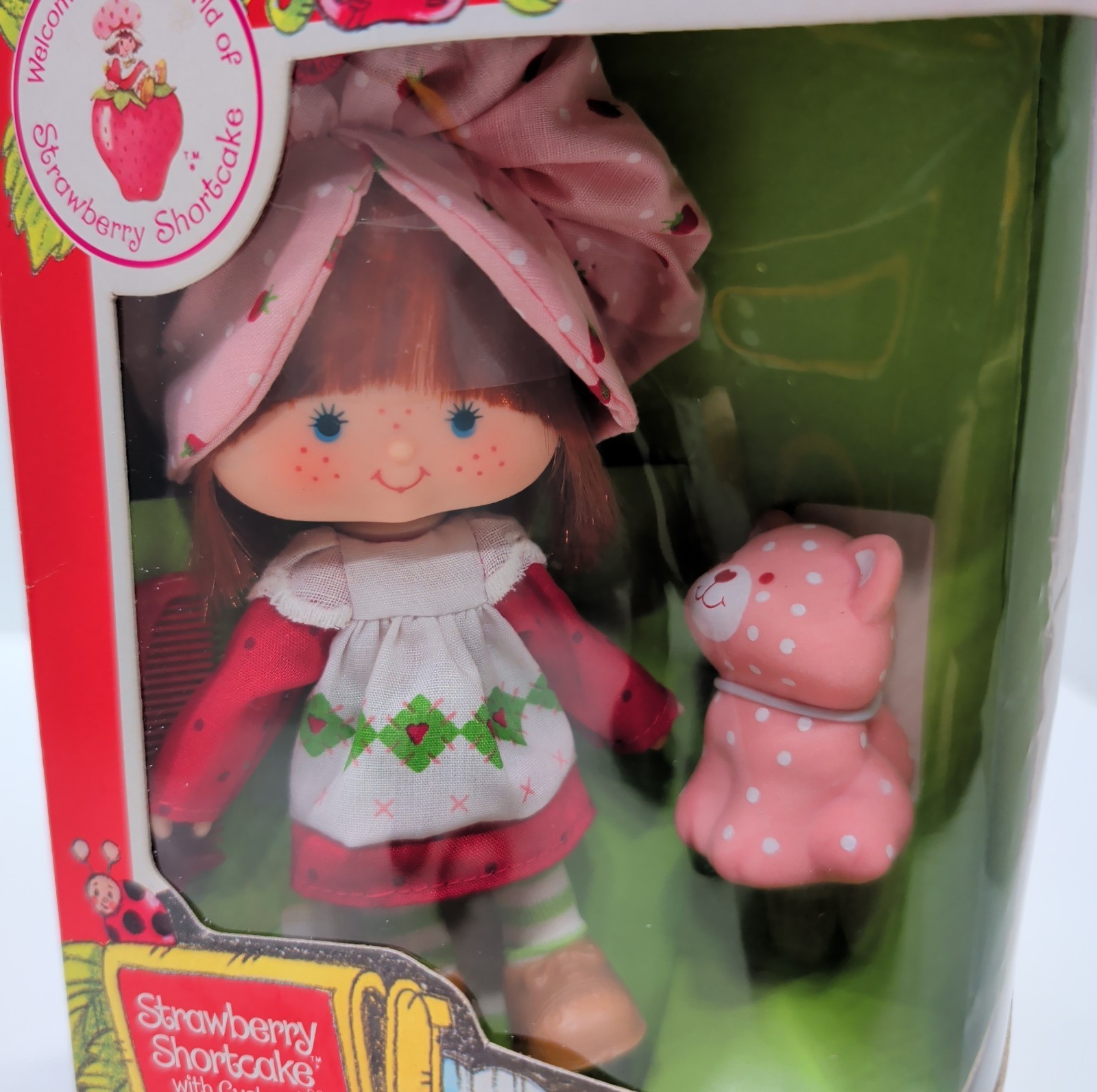 Strawberry Shortcake Doll With Custard Cat 1982 Vintage Original Box #43020