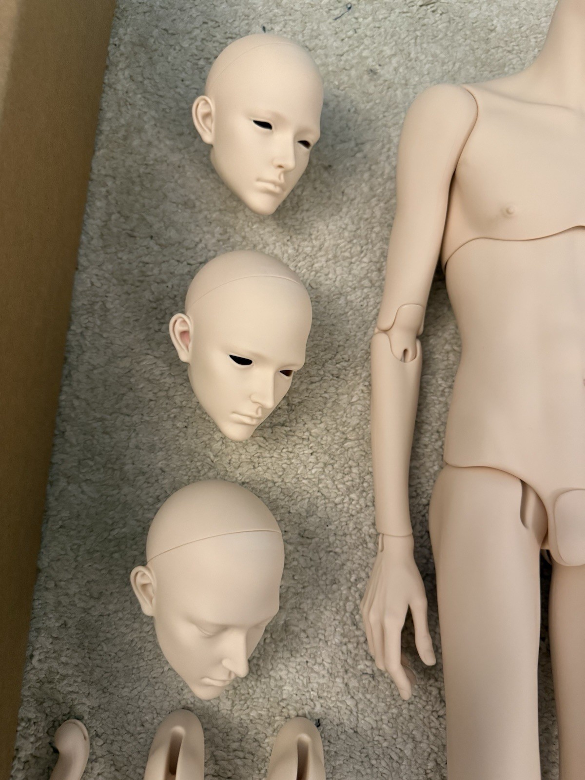 Dollshe Craft Leo 70cm Maxi Special Package