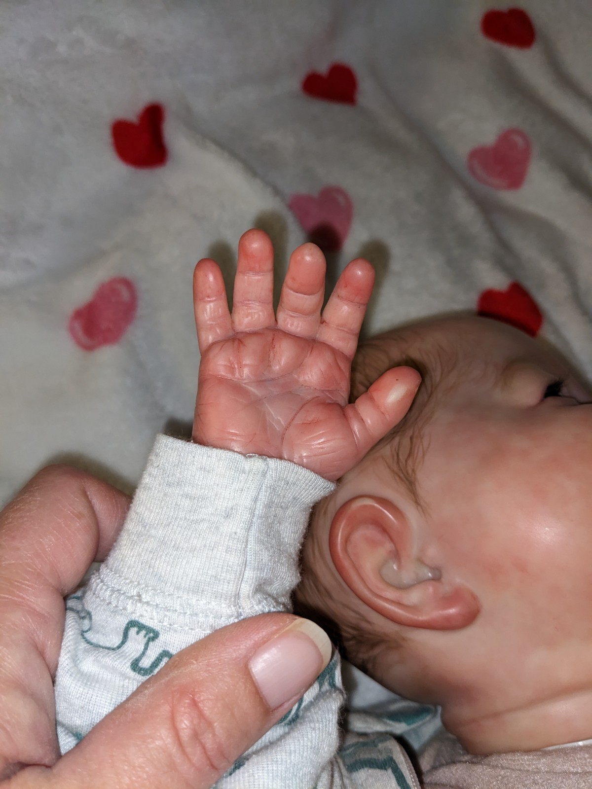 Reborn Art Doll