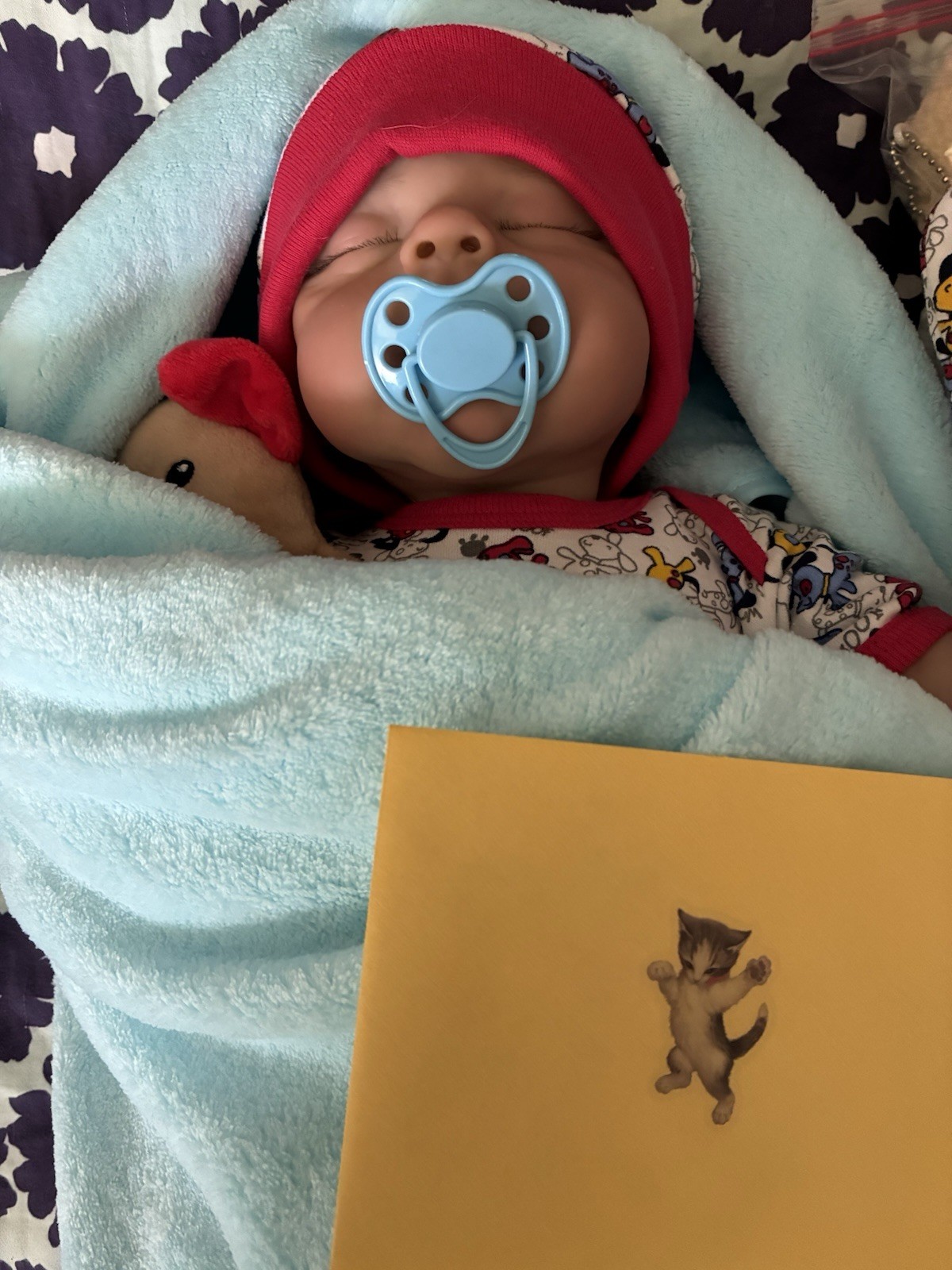 Reborn Baby Boy