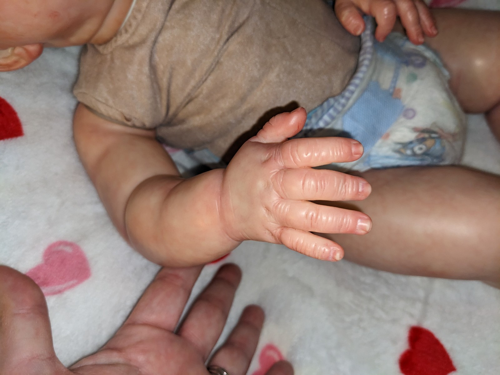 Reborn Art Doll