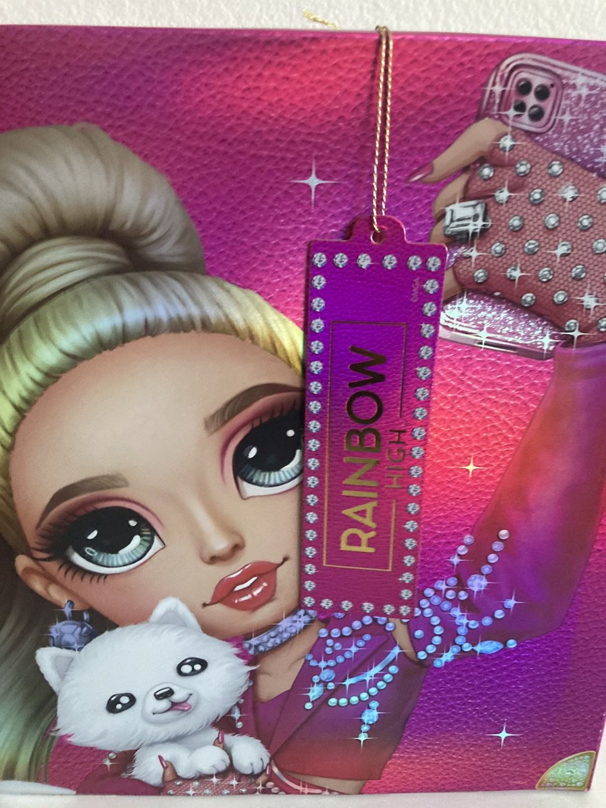 Rainbow High Paris Hilton Premium Edition Collector Doll NIB NEFB HTF