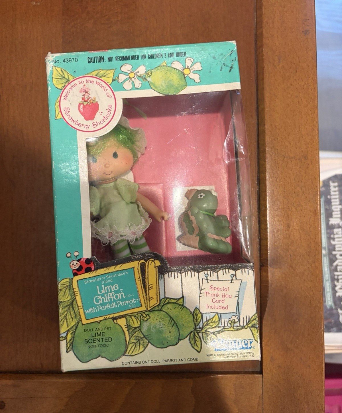 Kenner Strawberry Shortcake Lime Chiffon Scented Doll w/ Comb & Pet MPN 43970