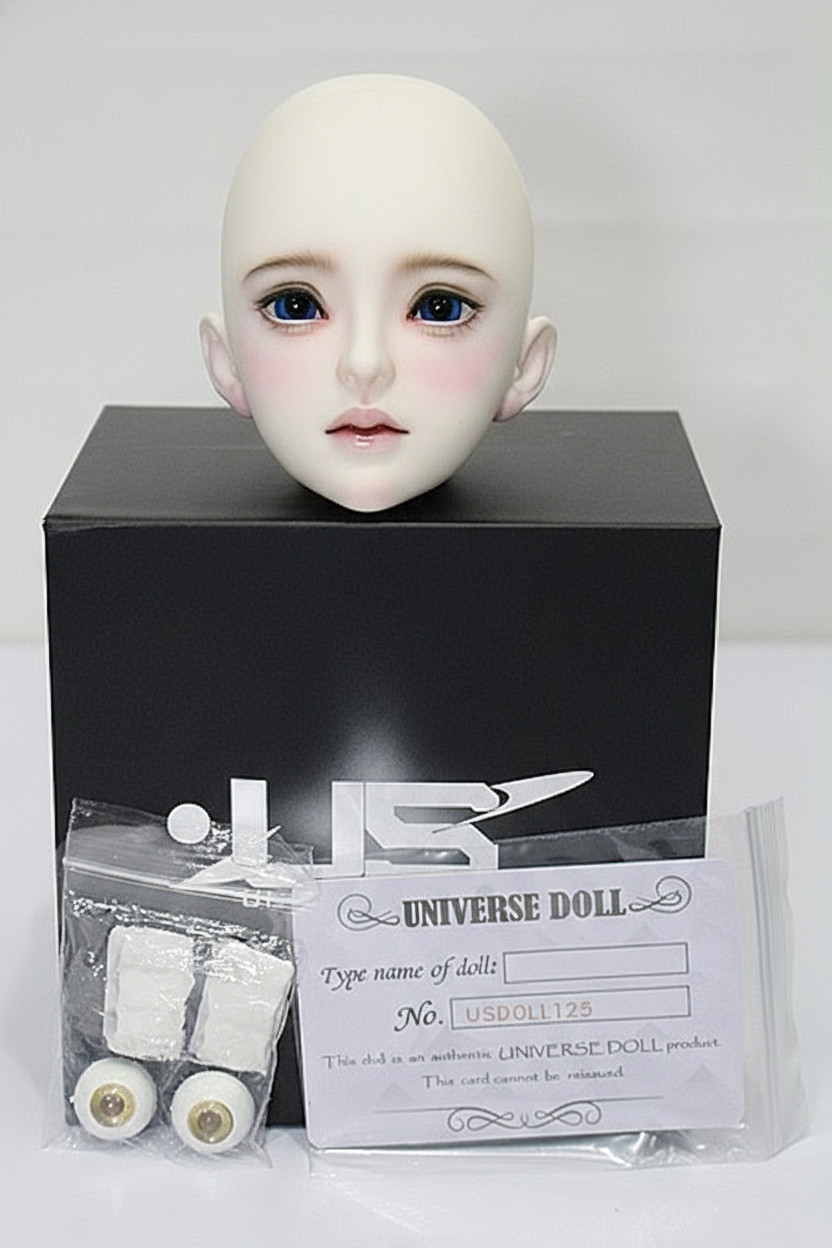 UNIVERSAL DOLL T203 BJD Head with Makeup 2 Pairs Eyes Box Certificate JPN