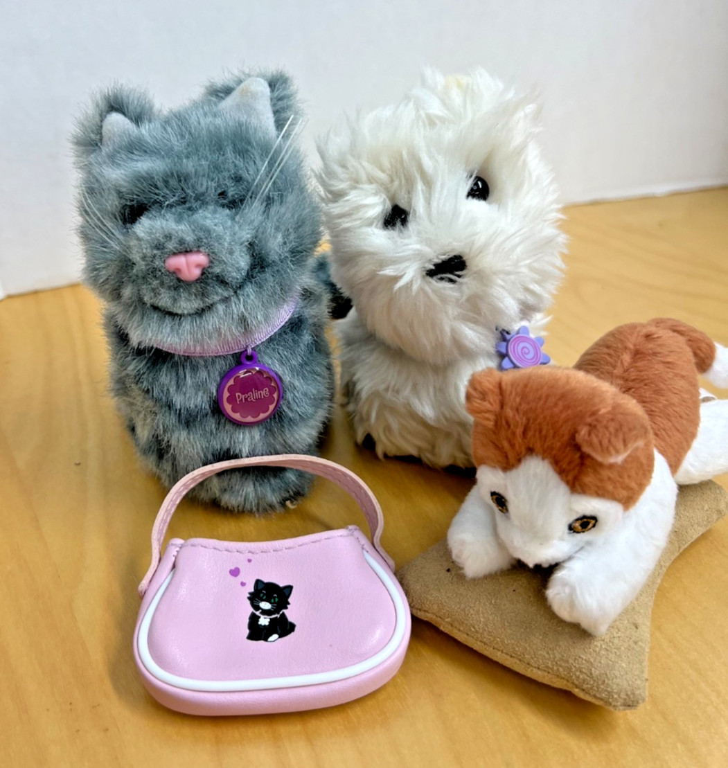 American Girl Doll Gray Tabby Cat White Dog and Kitten 3 pets.