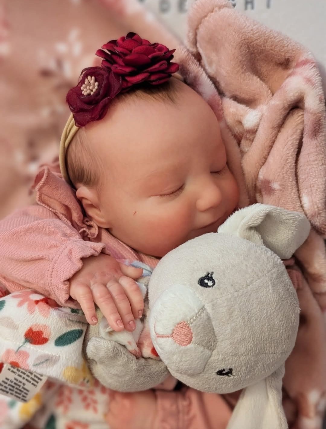 WILLIAMS NURSERY Realborn June Sleeping Newborn Baby Girl Reborn Doll 19″ COA