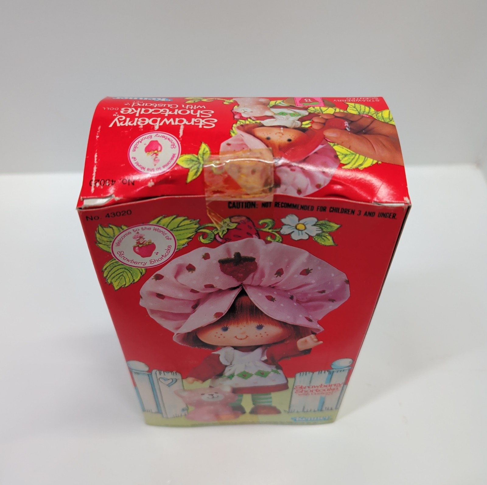 Strawberry Shortcake Doll With Custard Cat 1982 Vintage Original Box #43020