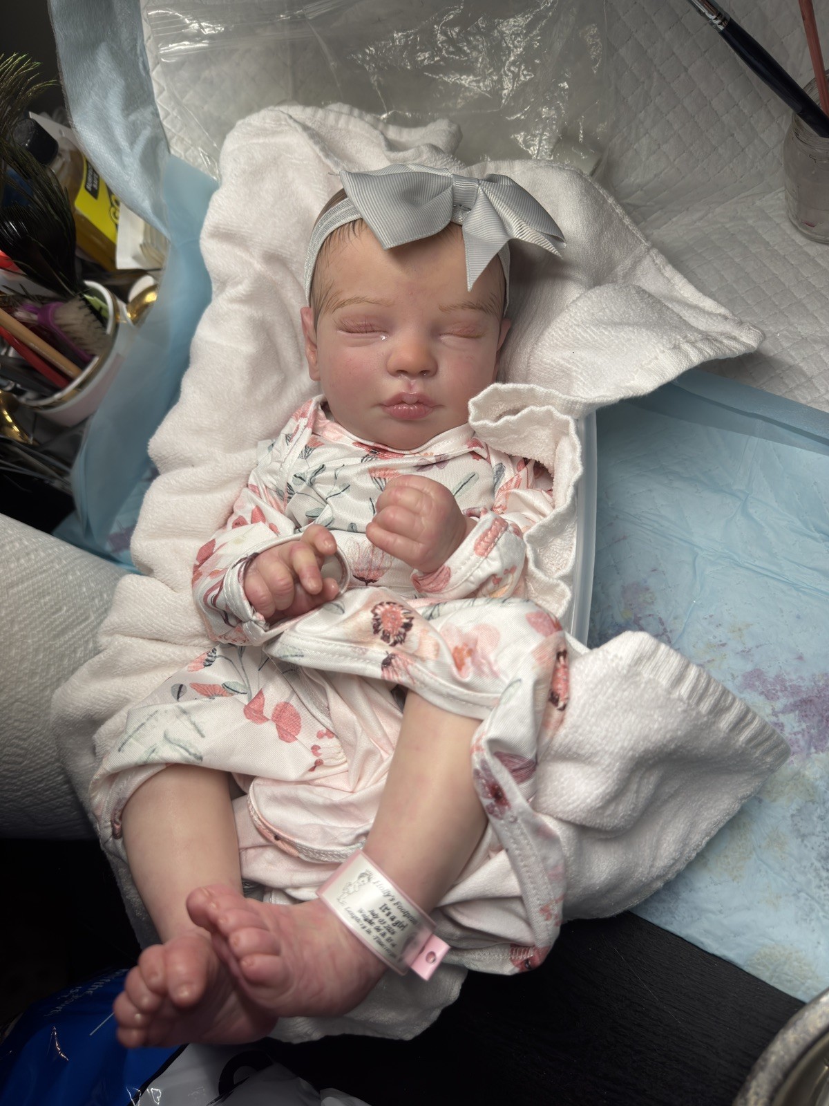 Bountiful Baby Realborn Priscilla now Reborn Art Doll with COA