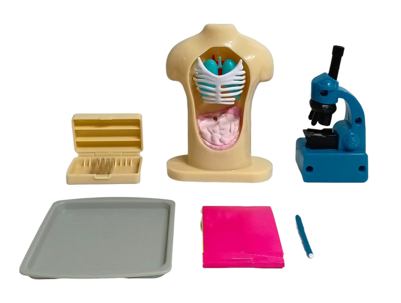 Our Generation Doll Life Science Set Biology School Human Anatomy for 18″ Dolls