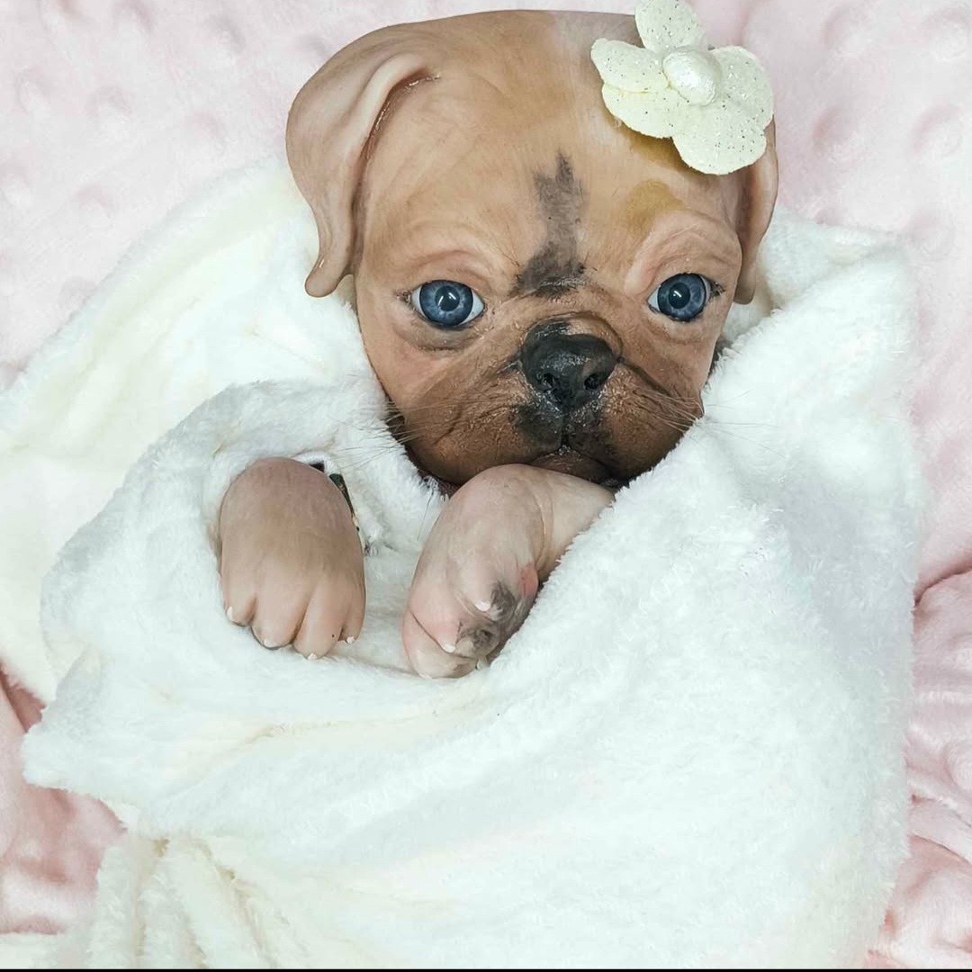 NEW 17″ Vintage Sold Out Authentic Princess Pug Reborn Ooak
