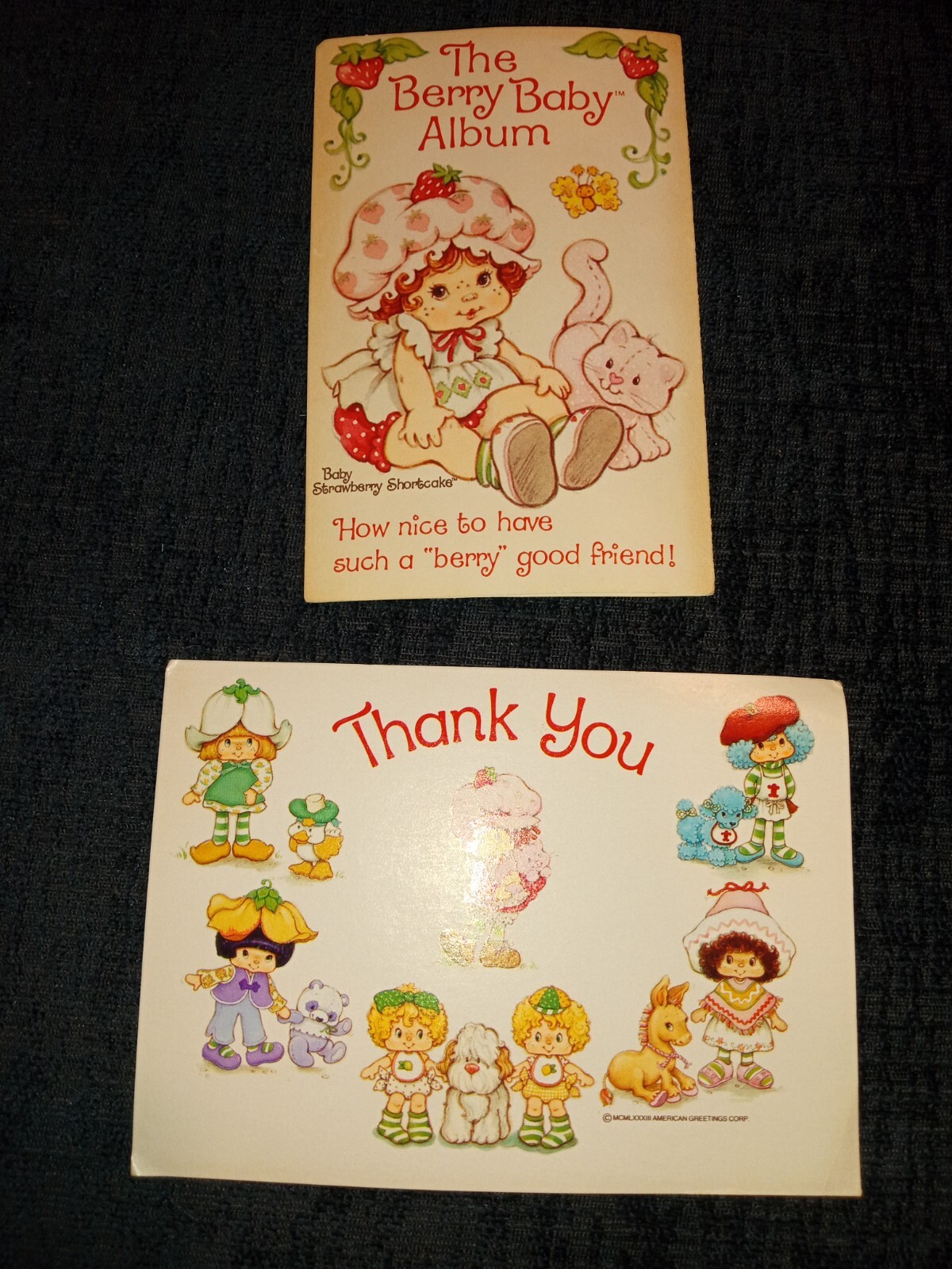 1983 Vintage Strawberry Shortcake The Berry Baby Album & Thank You Post Card AGC