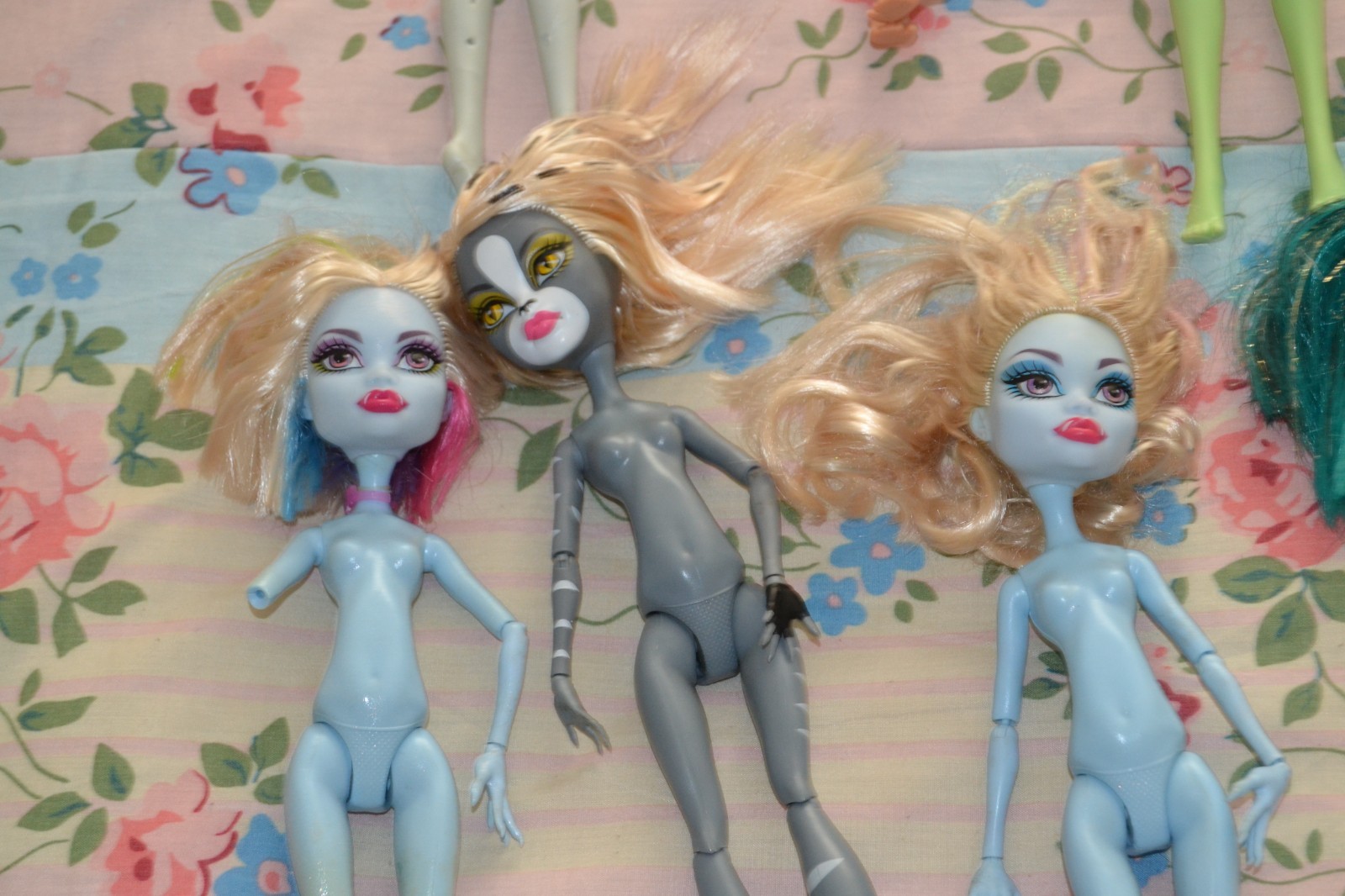 Bundle 14 x Mattel Monster High Dolls Clawdeen Skelita Cleo Venus & Accessories