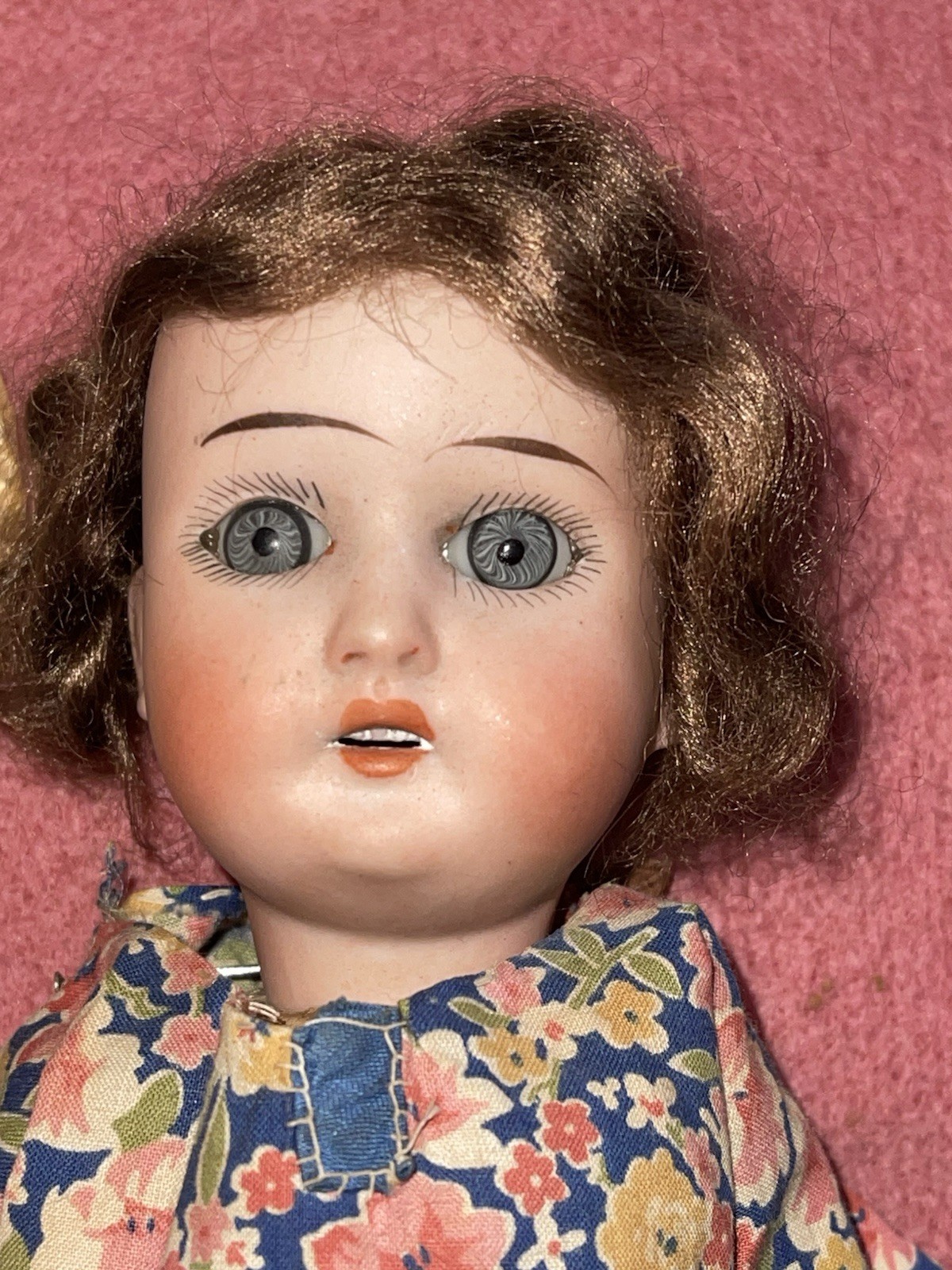 Antique Schoenau & Hoffmeister Bisque Head Doll Shadowbox Display Folk Art