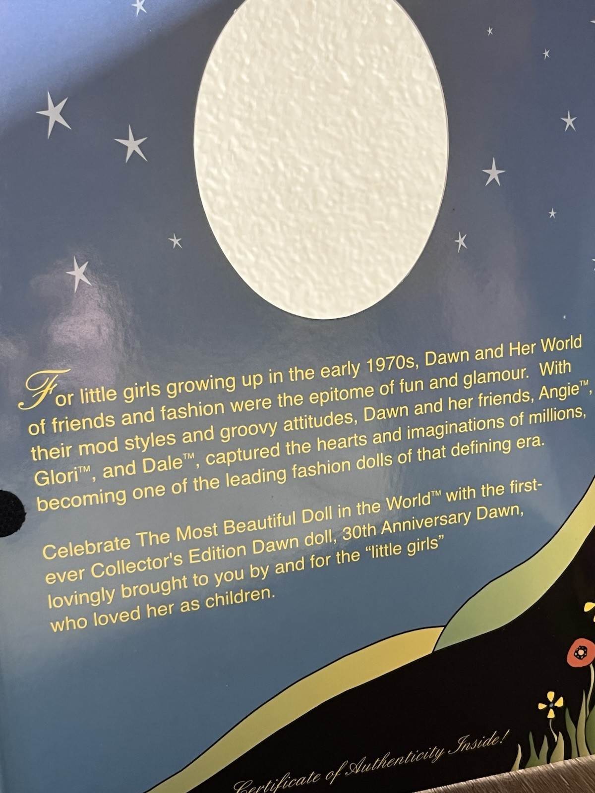 Dawn 30th Anniversary Limited Edition Doll and In the Spotlight Outfit Boxes