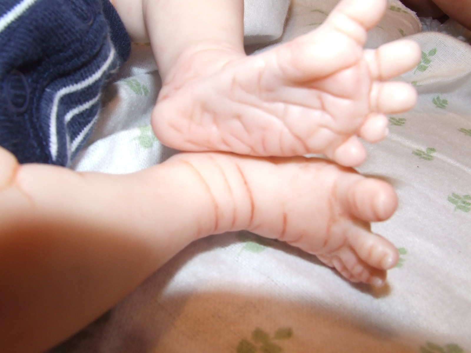 Reborn Doll