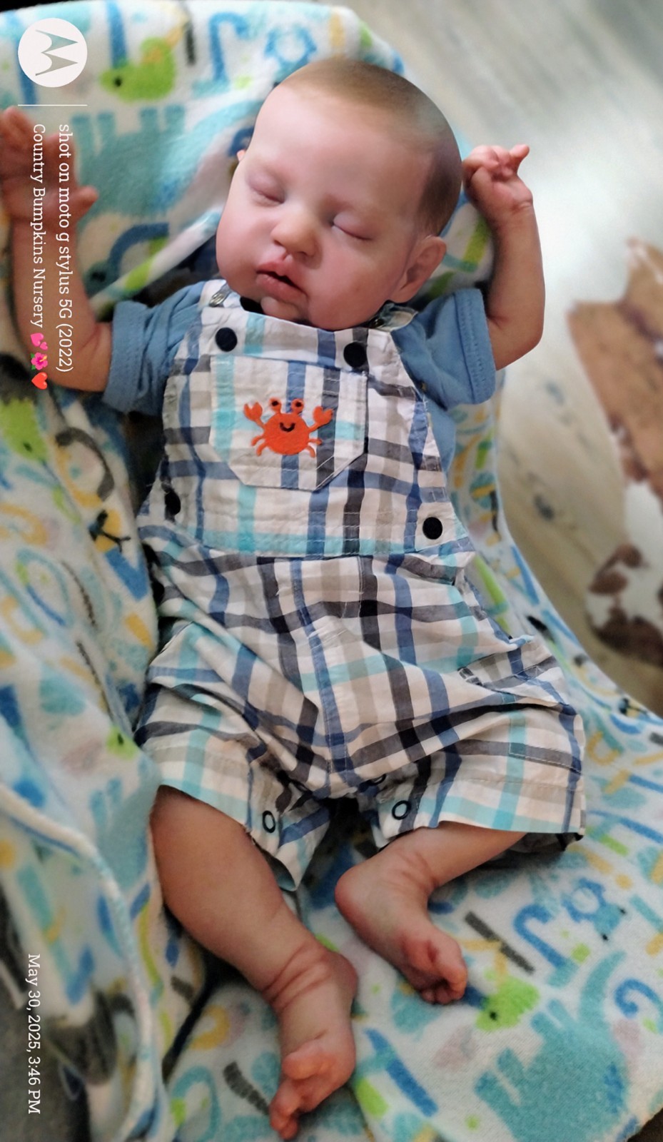 Reborn Teddy Doll