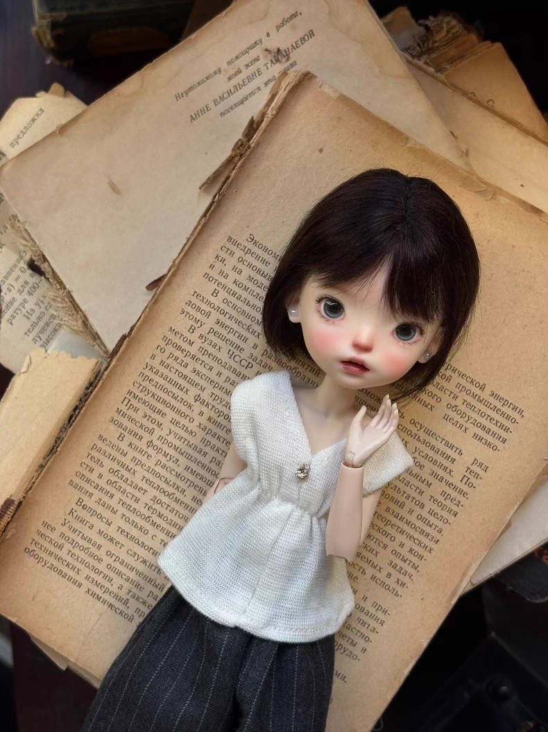 BJD Doll 1/6 Resin Joints with Face Makeup Wig Outfits Full Set Girl Women Gift