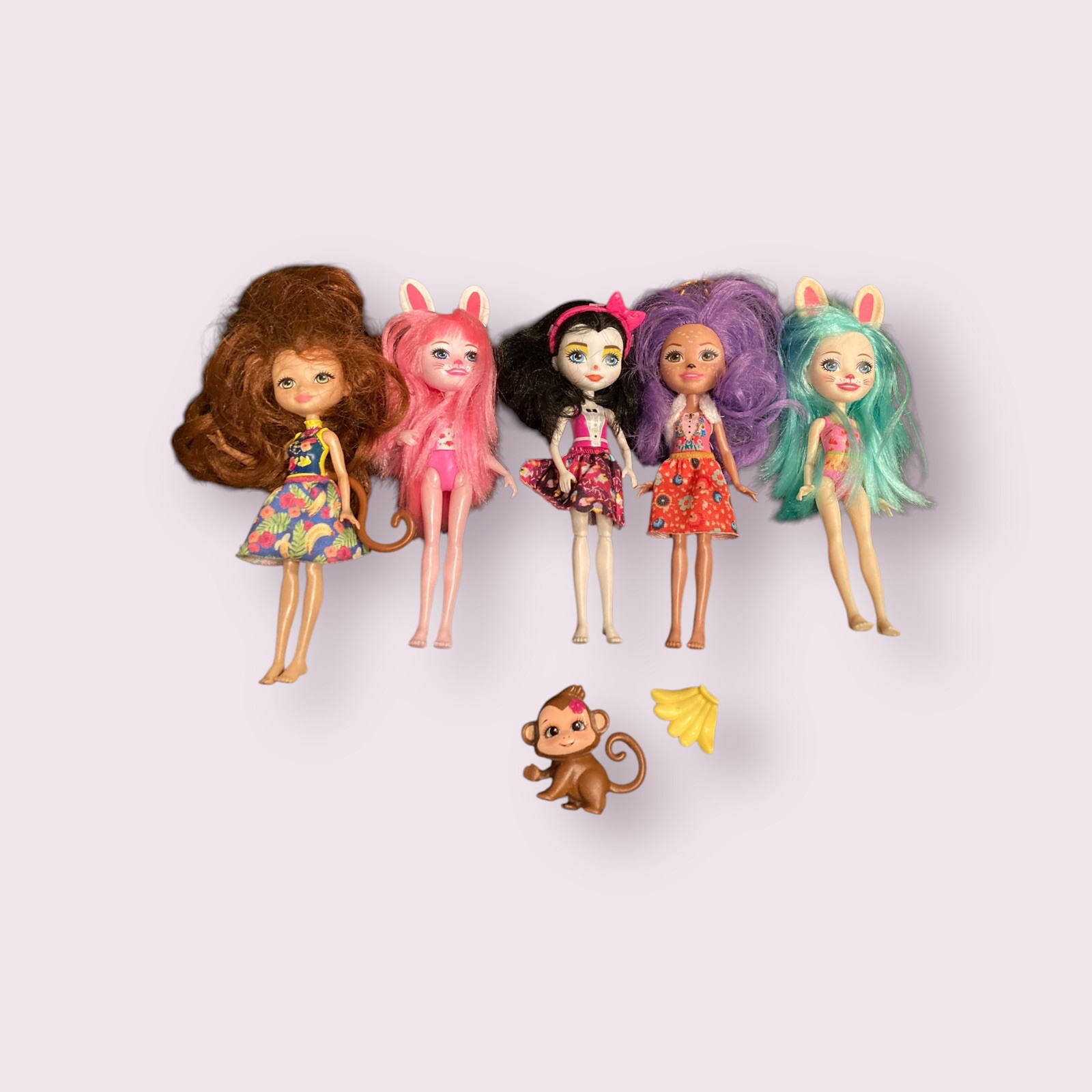 Enchantimals Lot 5 Dolls With Animal And Accessory Colorful Collectable