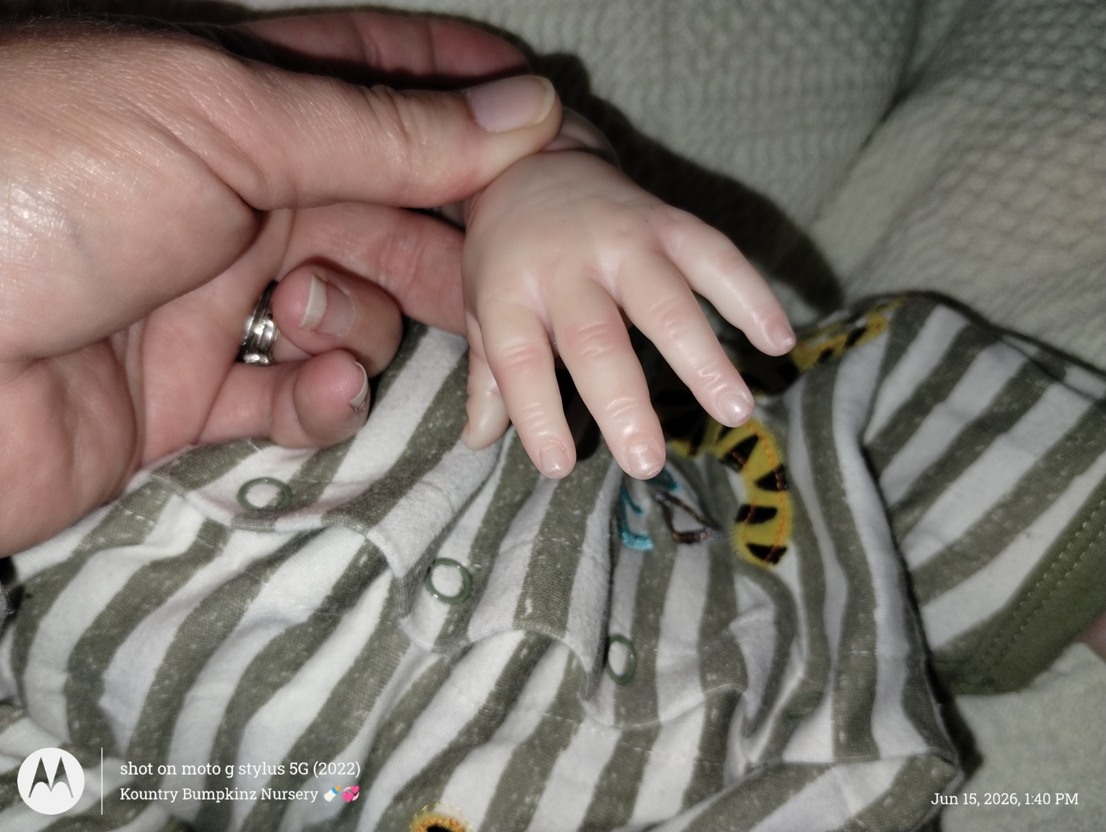 Avery Reborn Doll